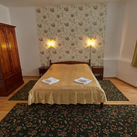 Pensiunea Daniel Guest house Sibiu